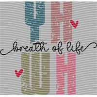 Valentine's Day-QRJ  7220